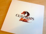 zber z hry Guild Wars 2